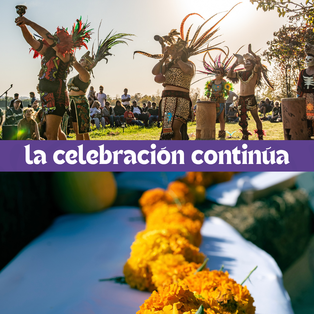 driftless dia de muertos