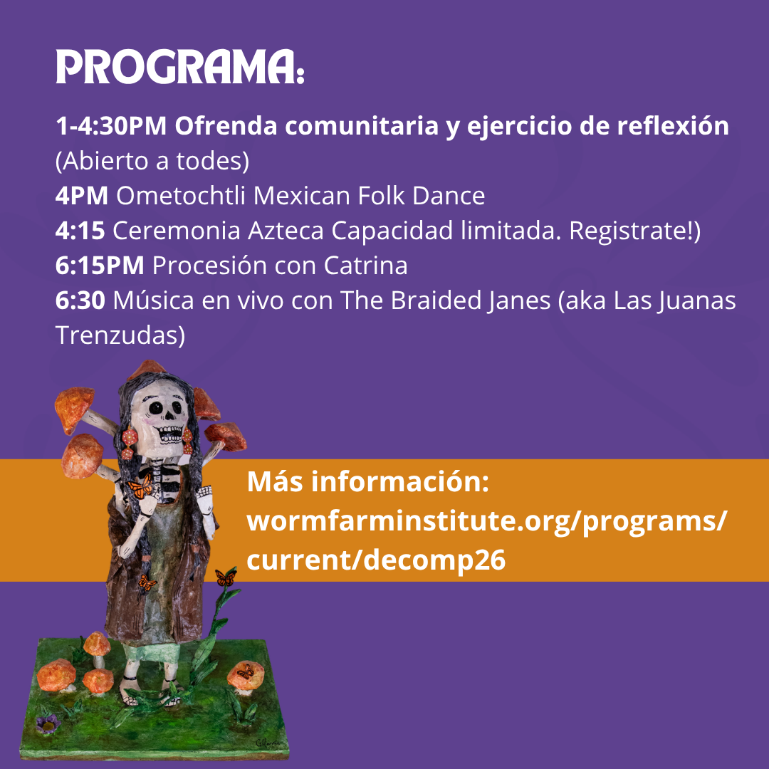 program dia de muertos